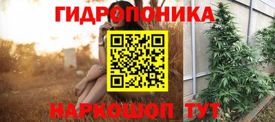 мдпв Партизанск