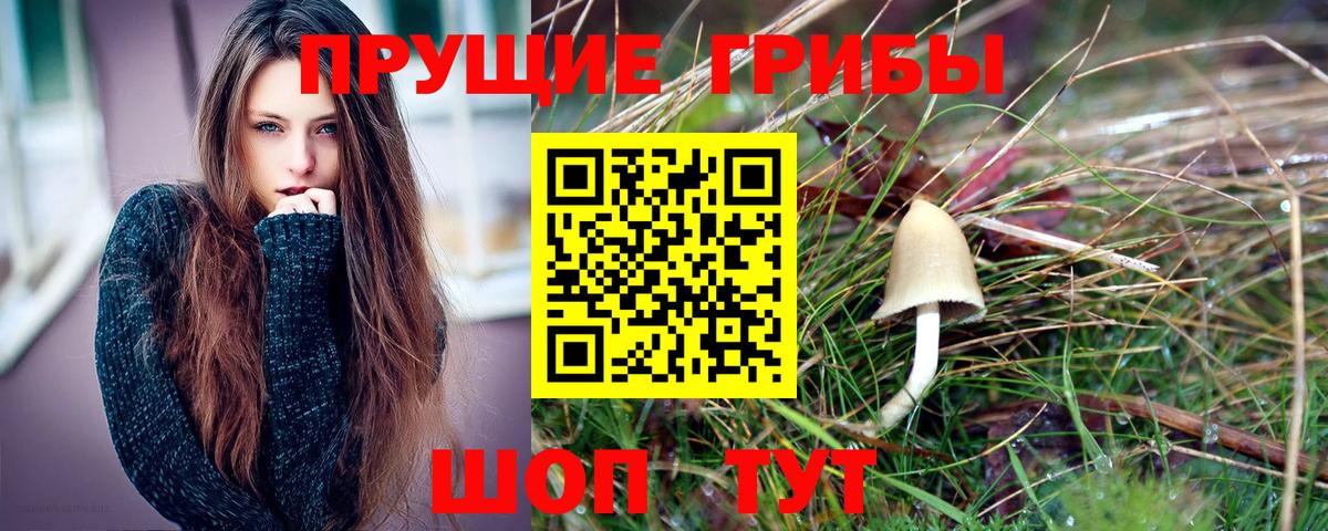 Галлюциногенные грибы Magic Shrooms  Вход с VPN  Галлюциногенные грибы Psilocybe  Спасск-Дальний 